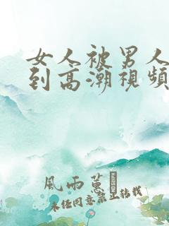 女人被男人狂操到高潮视频在线免费观看