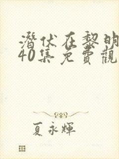 潜伏在黎明之前40集免费观看