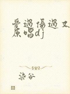 爱过伤过又错过原唱dj