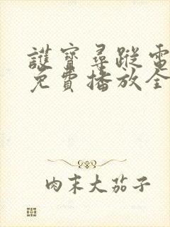 护宝寻踪电视剧免费播放全集完整版高清