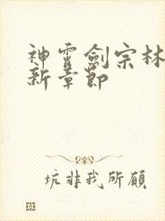 神霄剑宗林枫最新章节