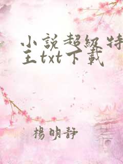 小说超级特战兵王txt下载