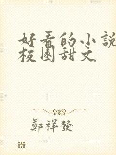 好看的小说推荐校园甜文