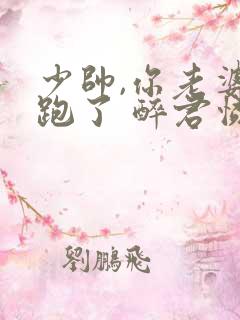 少帅,你老婆又跑了 醉君怜