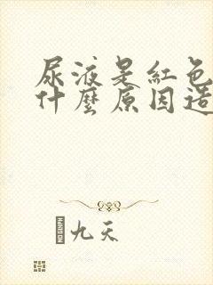 尿液是红色的是什么原因造成的