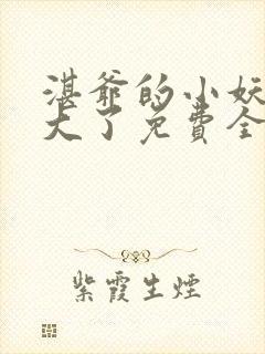 湛爷的小妖精长大了免费全文阅读