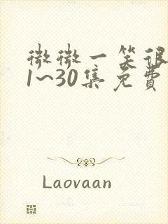 微微一笑很倾城1~30集免费观看