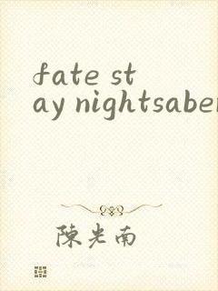 fate stay nightsaber