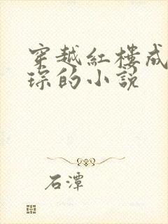 穿越红楼成为贾琮的小说