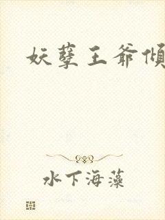 妖孽王爷倾城妃