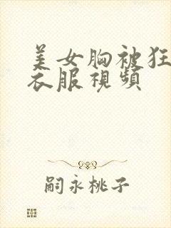 美女胸被狂揉扒衣服视频