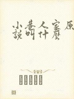 小巷人家原著小说叫什么