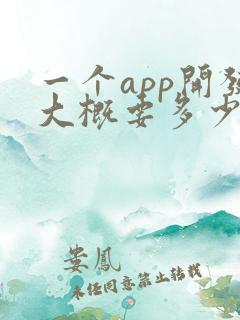 一个app开发大概要多少钱