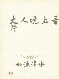 大人晚上看的毛片