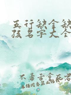 五行缺金缺火男孩名字大全