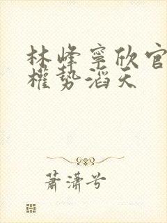 林峰宁欣官道之权势滔天