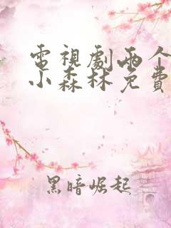 电视剧两个人的小森林免费看