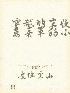 穿越明末收了八万秦军的小说