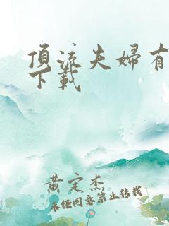 顶流夫妇有点甜下载