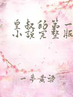 皇叔的第一宠妃小说完整版大结局