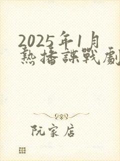 2025年1月热播谍战剧