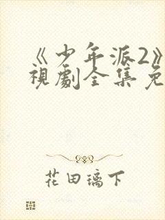 《少年派2》电视剧全集免费