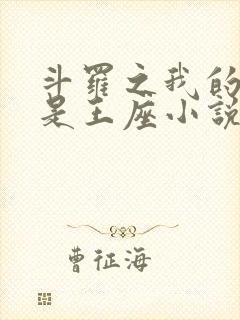 斗罗之我的武魂是王座小说