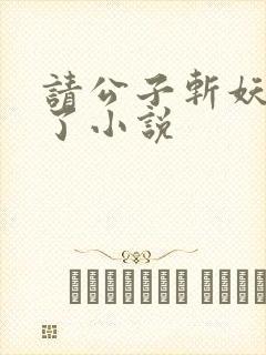 请公子斩妖裴不了小说