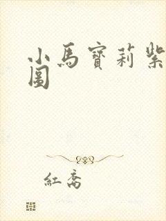 小马宝莉紫悦美图