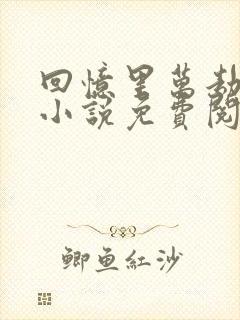 回忆里万劫不复小说免费阅读