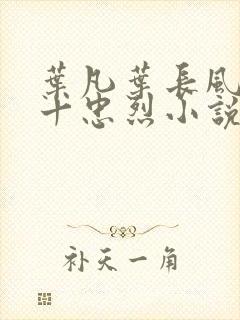 叶凡叶长风一门十忠烈小说书名