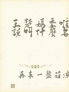 王楚嫣季唯安小说叫什么名字