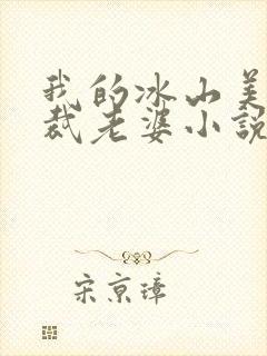 我的冰山美女总裁老婆小说