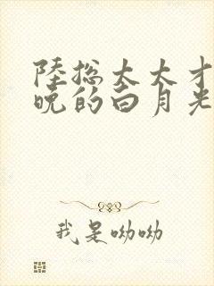 陆总太太才是那晚的白月光大结局