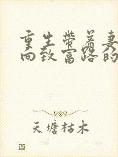 重生带着妻儿走向致富路的小说