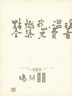 点燃我,温暖你全集免费看