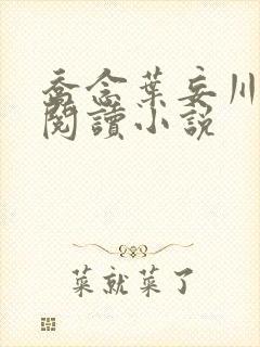 乔念叶妄川免费阅读小说