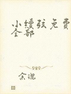 小续弦免费阅读全部