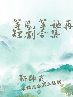 等风等她再回头短剧合集