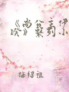 《尚公主伊人睽睽》系列小说