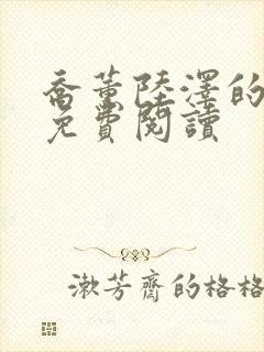 乔薰陆泽的小说免费阅读