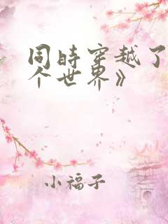 同时穿越了99个世界》