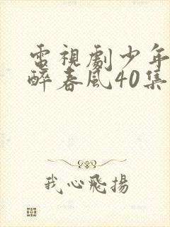 电视剧少年白马醉春风40集全