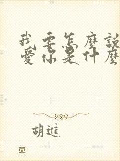 我要怎么说我不爱你是什么歌