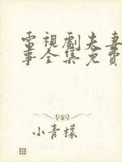 电视剧夫妻那些事全集免费