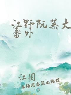 江野阮芜大结局番外