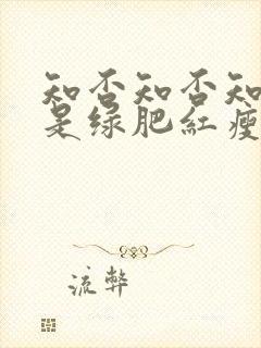 知否知否知否应是绿肥红瘦是什么朝代