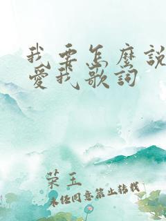 我要怎么说你才爱我歌词