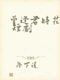 曾逢君时花照眼 短剧