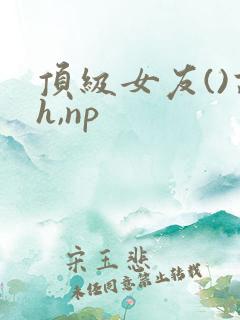 顶级女友()高h,np